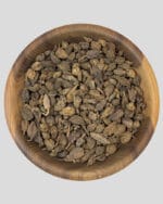 خرید هل باد