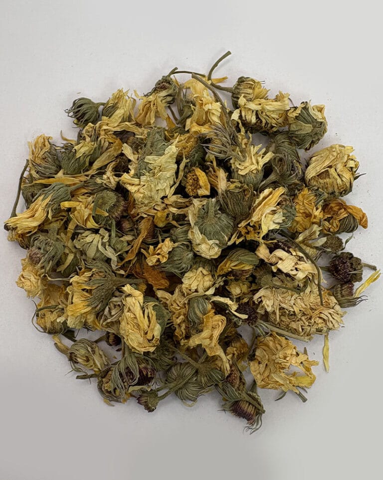 خرید همیشه بهار