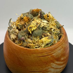 قیمت همیشه بهار