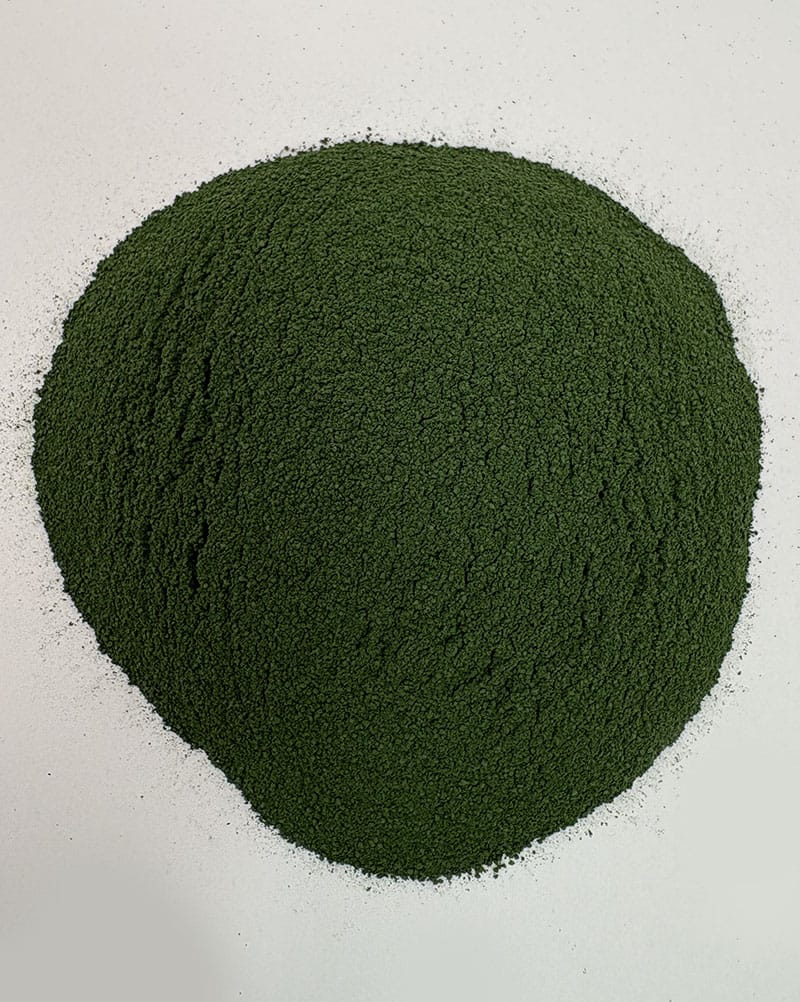 خرید پودر جلبک اسپیرولینا