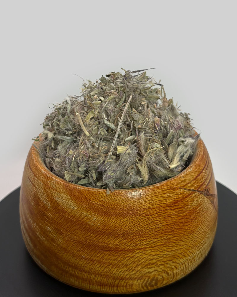 چای کوهی