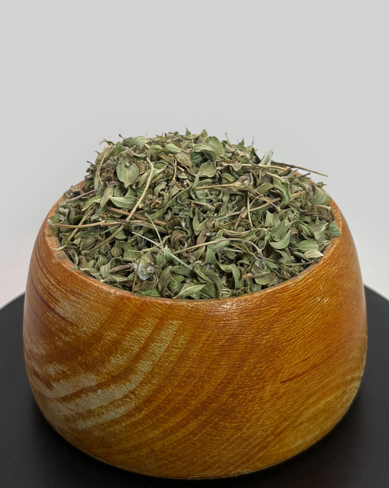 کاکوتی کاکوتی