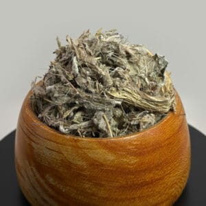 کنگر فرنگی
