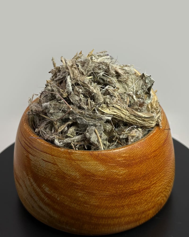 کنگر فرنگی