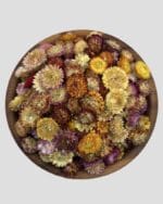 گل مینا لوکس مرغوب