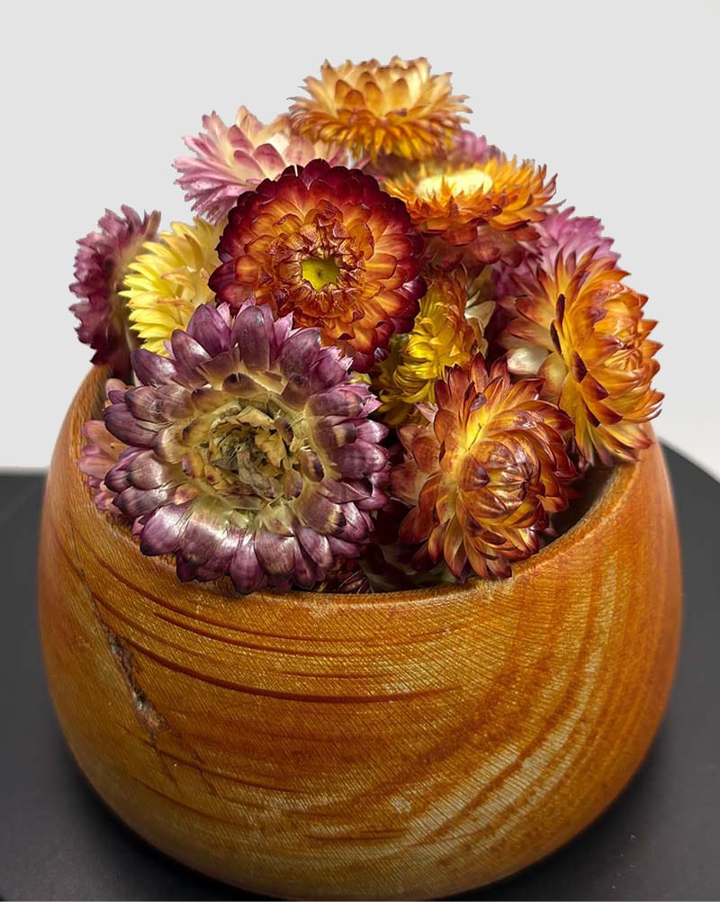 خرید گل مینا لوکس