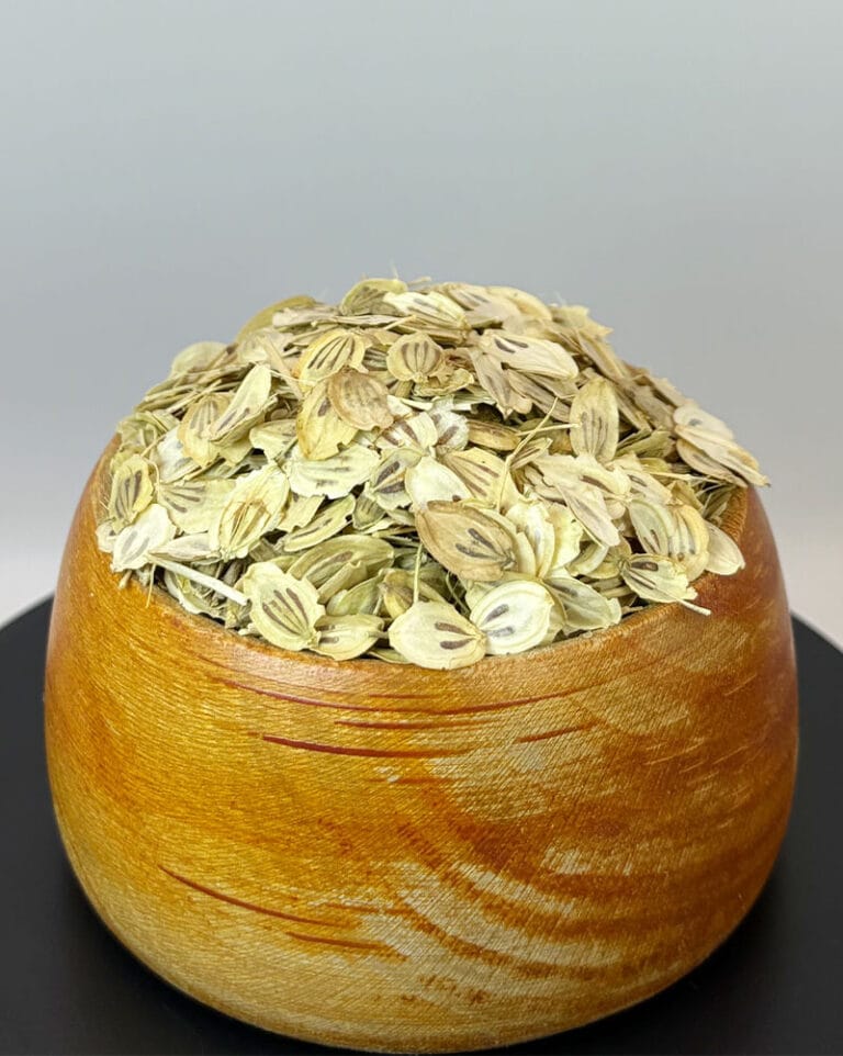 گلپر درشت اعلا