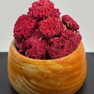 گیاه گلنار فارسی صادراتی