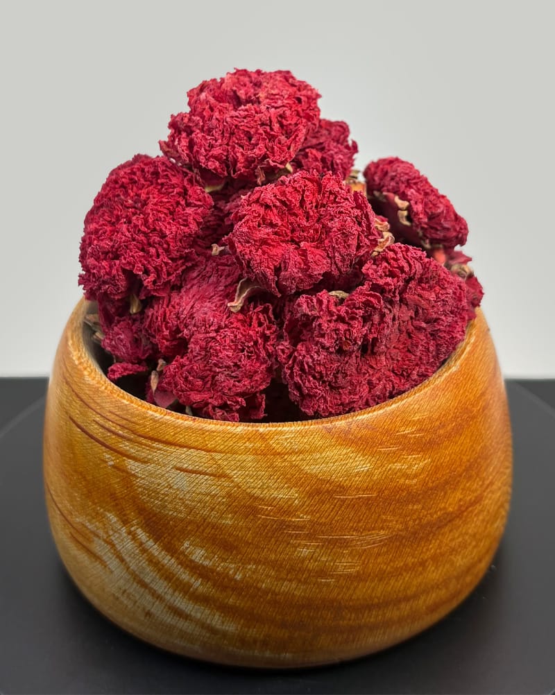 گیاه گلنار فارسی صادراتی